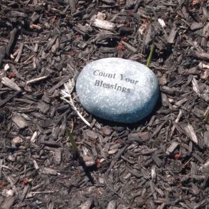 Meet your Posher, Dolly